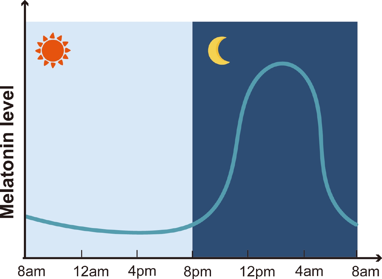 Melatonin